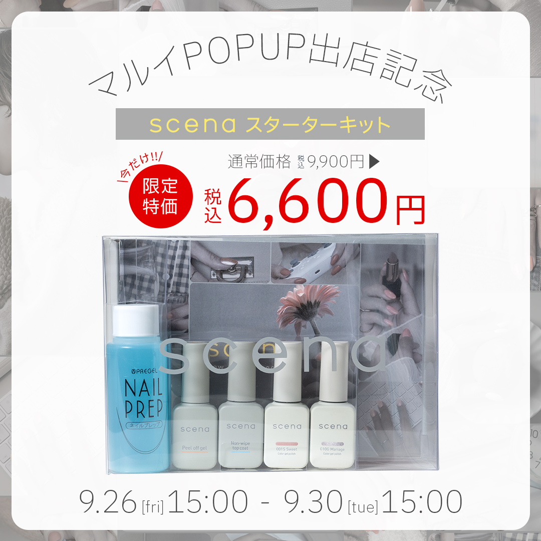 シーナ スターターキット6600円