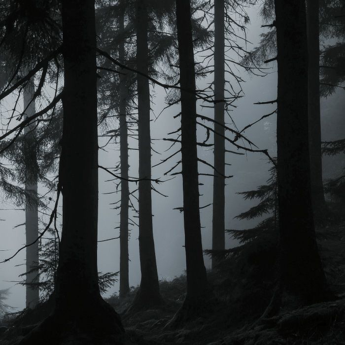 マイオーマイ 　マーク ５ハンドクリーム ＦＥＡＲ ＜恐れ＞