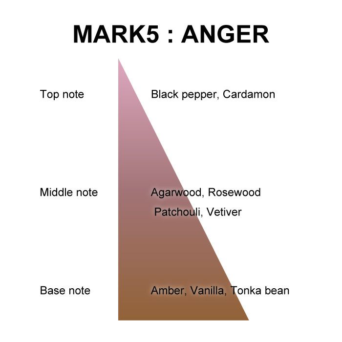 マイオーマイ 　マーク ５ボディウォッシュ ＡＮＧＥＲ ＜怒り＞