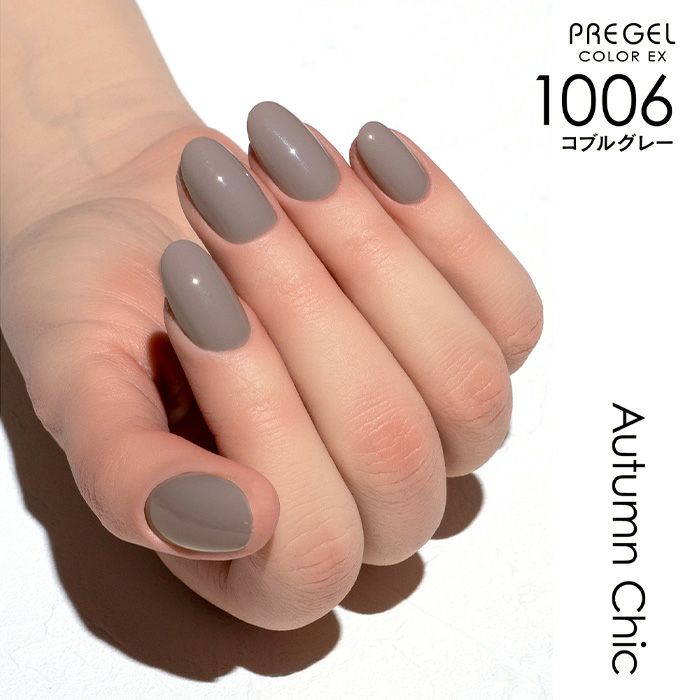 プリジェル カラーＥＸ／コブルグレー／３ｇ